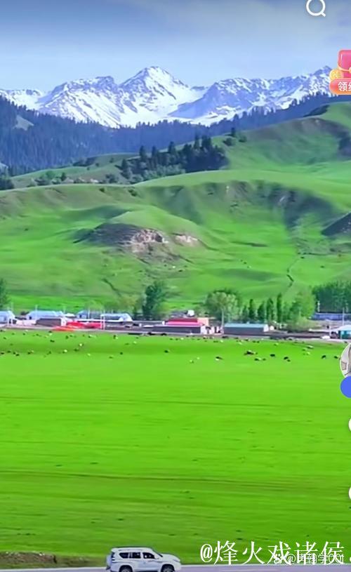 探索青青草原频道的无限精彩旅程 探索青青草原频道的无限精彩旅程