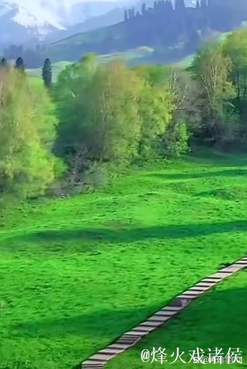 探索青青草原频道的无限精彩旅程 探索青青草原频道的无限精彩旅程